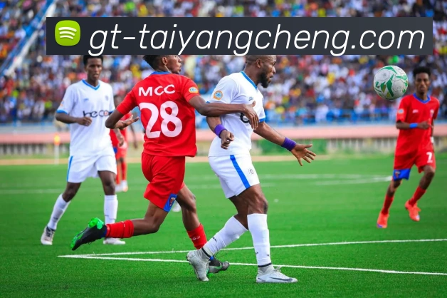 太阳城娱乐平台生态图